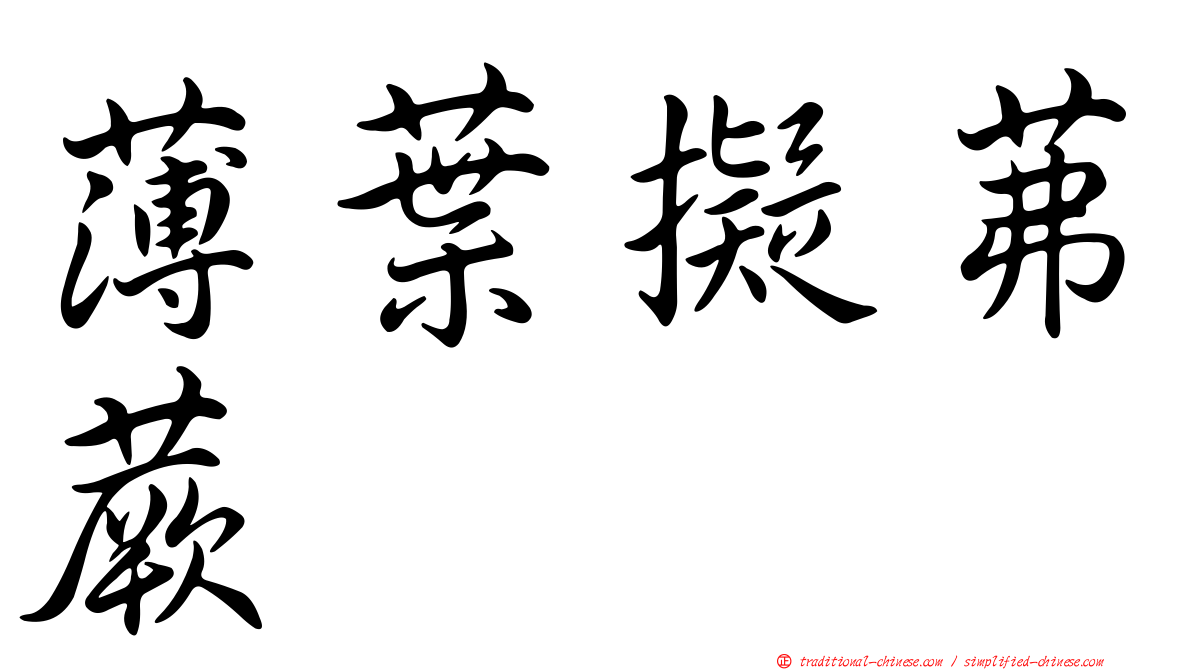 薄葉擬茀蕨