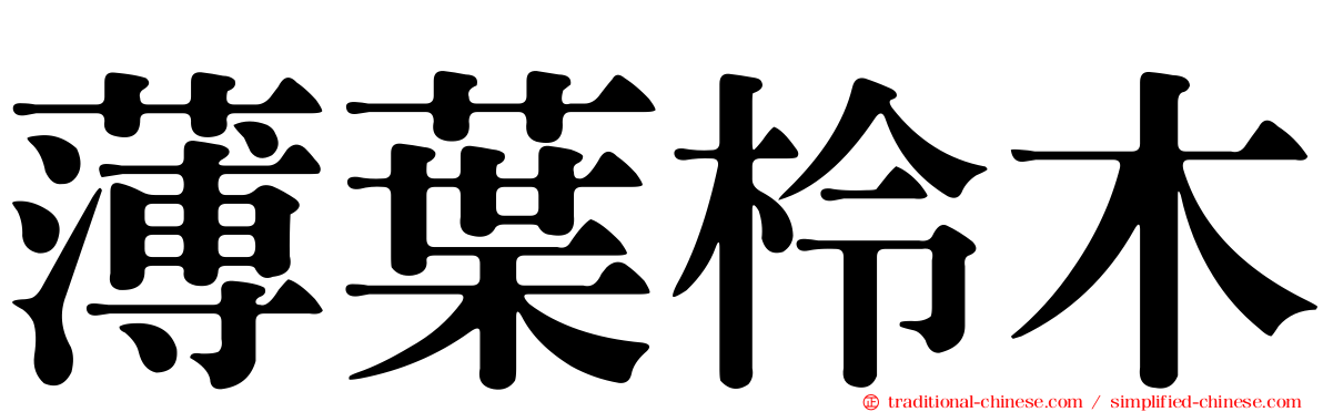 薄葉柃木