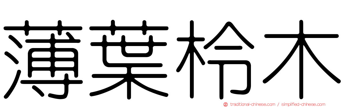 薄葉柃木