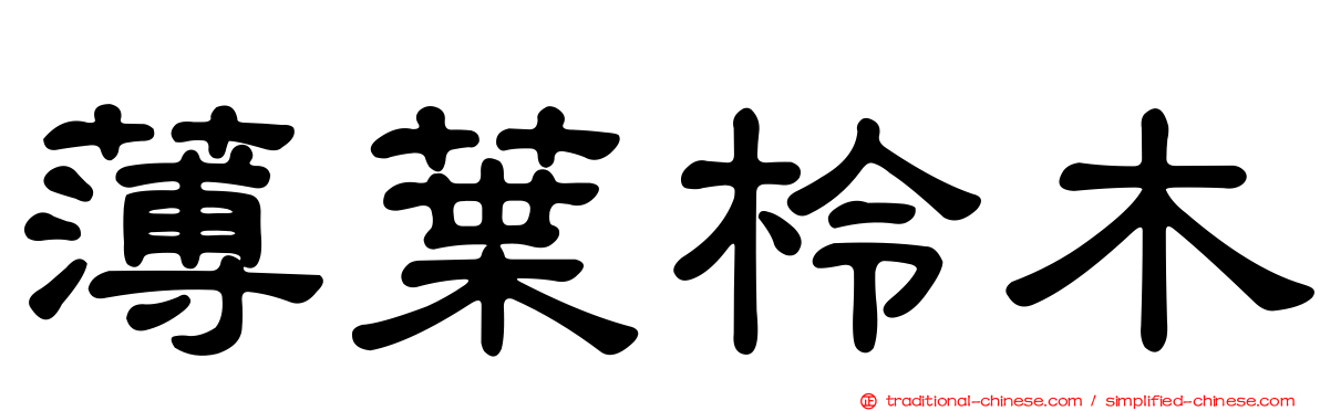 薄葉柃木