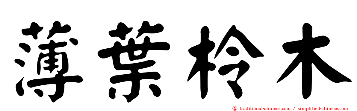 薄葉柃木