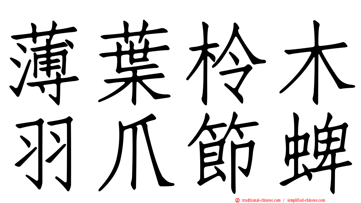 薄葉柃木羽爪節蜱
