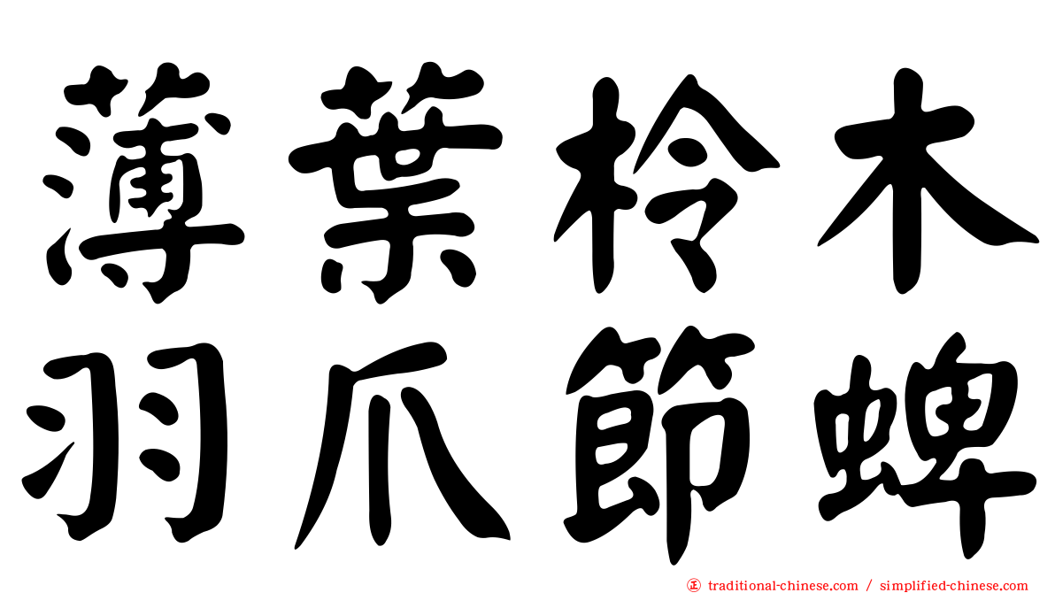 薄葉柃木羽爪節蜱
