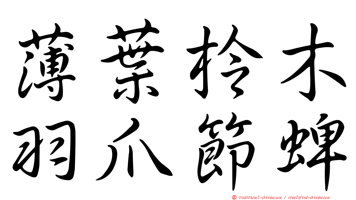薄葉柃木羽爪節蜱