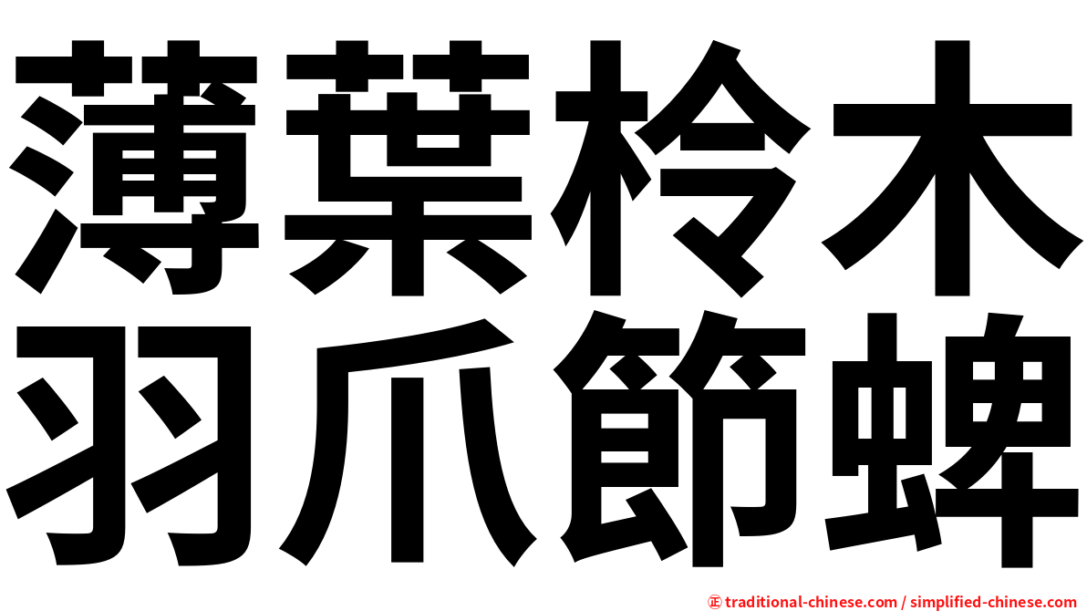 薄葉柃木羽爪節蜱