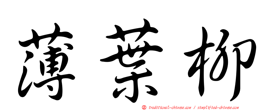 薄葉柳
