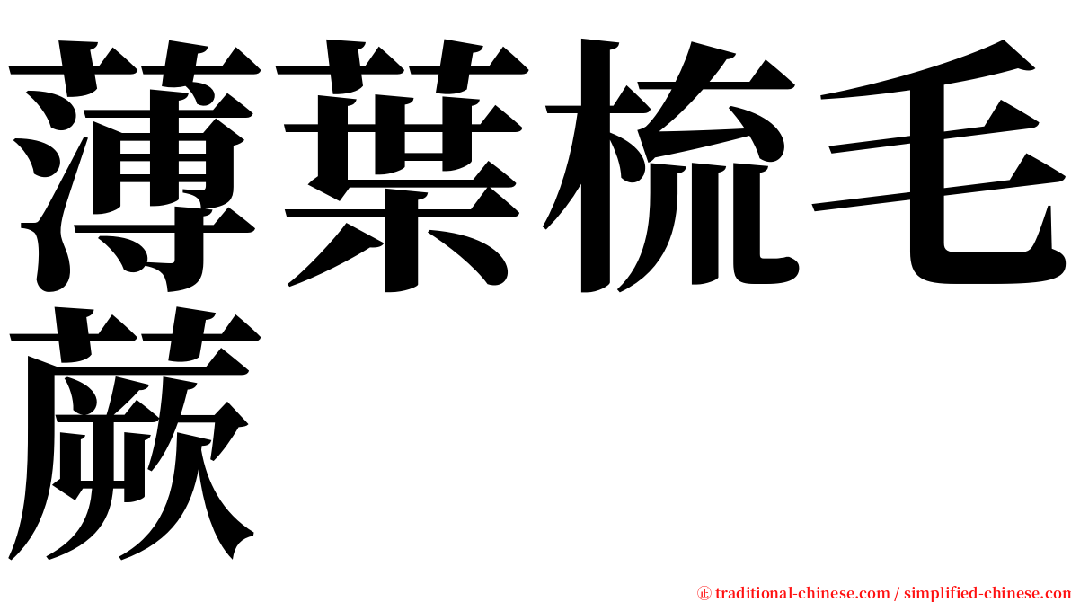 薄葉梳毛蕨 serif font