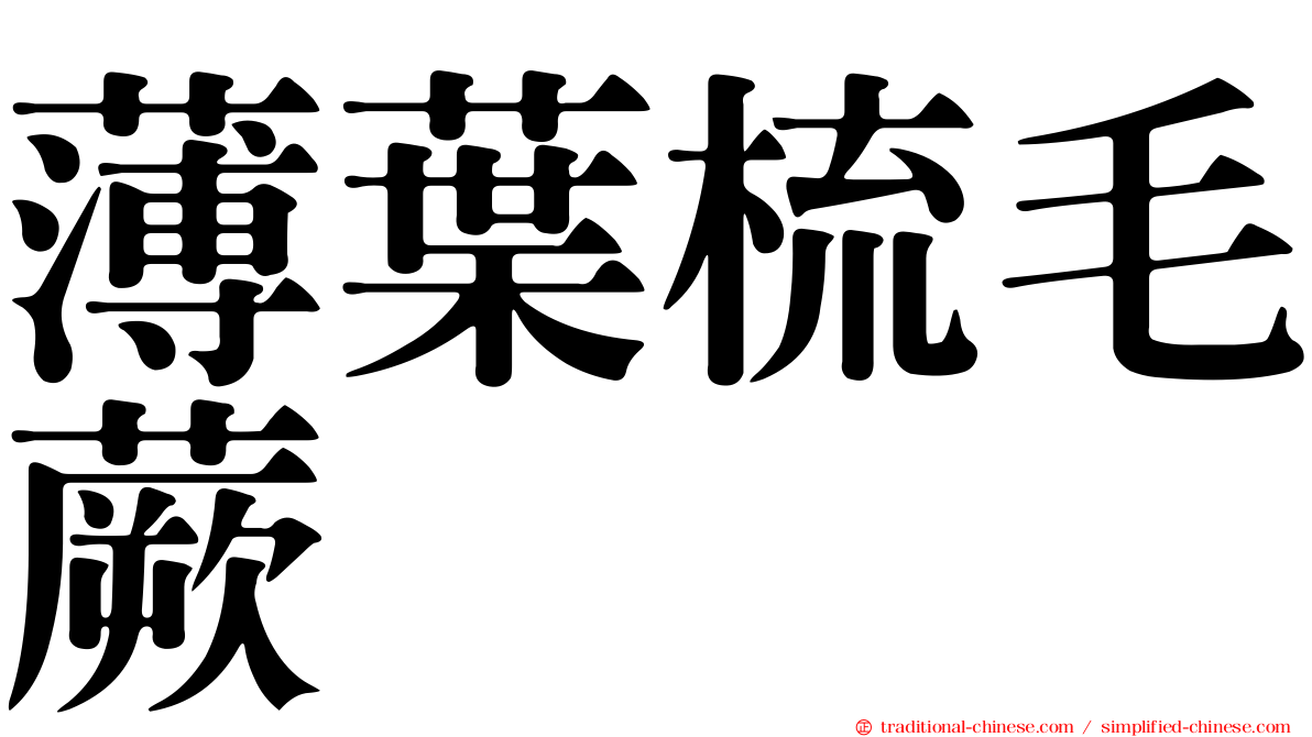 薄葉梳毛蕨