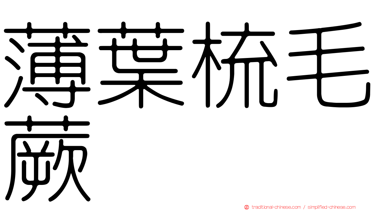 薄葉梳毛蕨