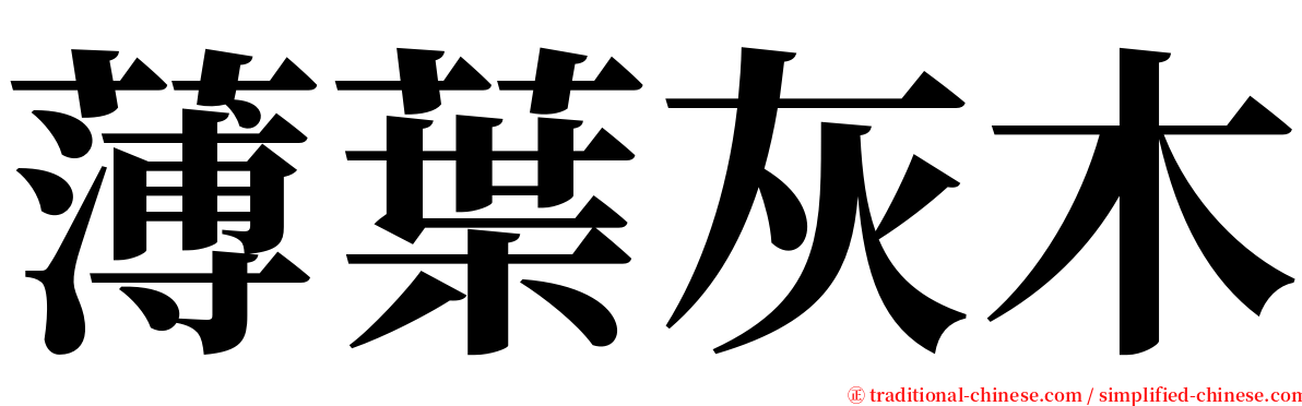 薄葉灰木 serif font