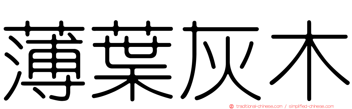薄葉灰木