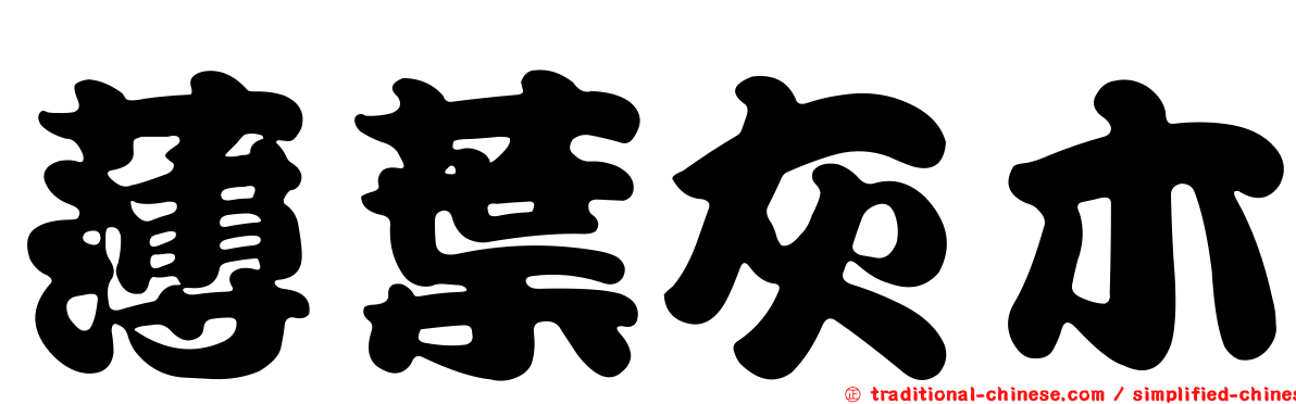 薄葉灰木
