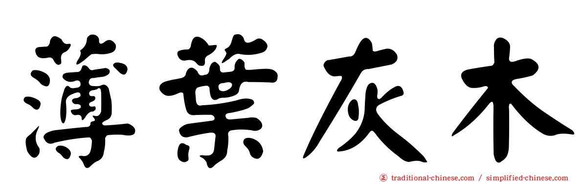 薄葉灰木