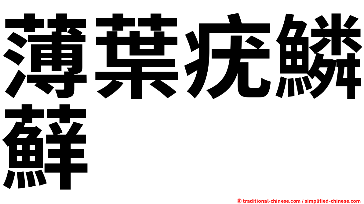 薄葉疣鱗蘚