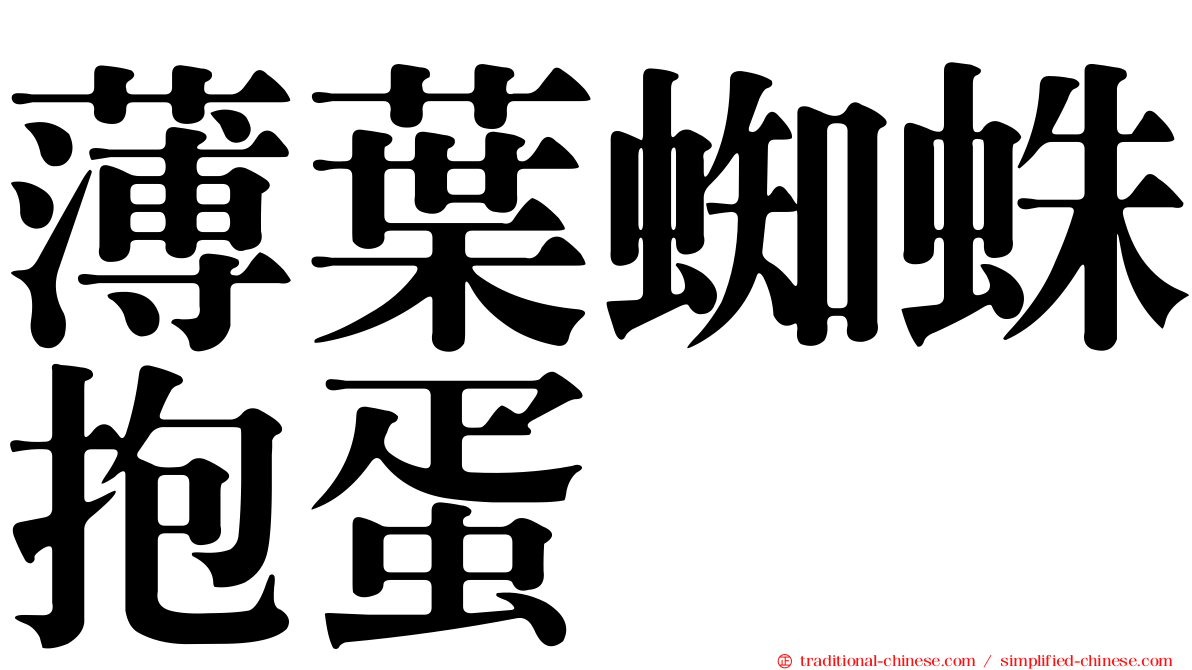 薄葉蜘蛛抱蛋
