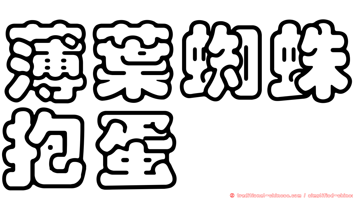 薄葉蜘蛛抱蛋