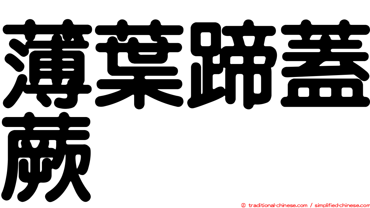 薄葉蹄蓋蕨