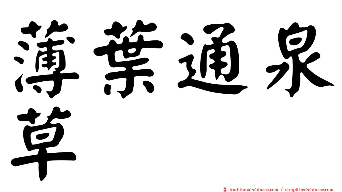 薄葉通泉草