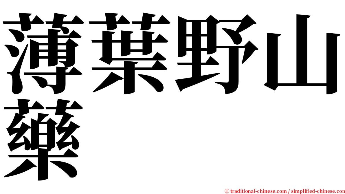 薄葉野山藥 serif font