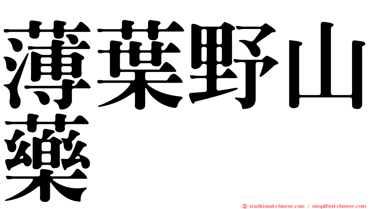 薄葉野山藥