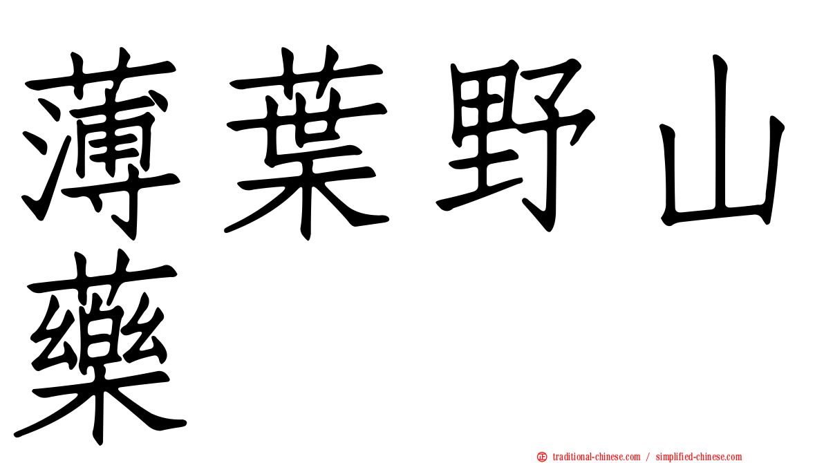薄葉野山藥