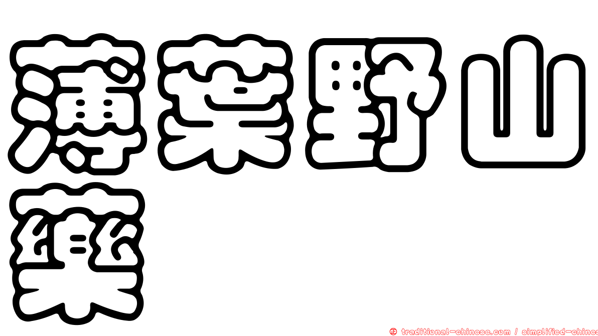 薄葉野山藥