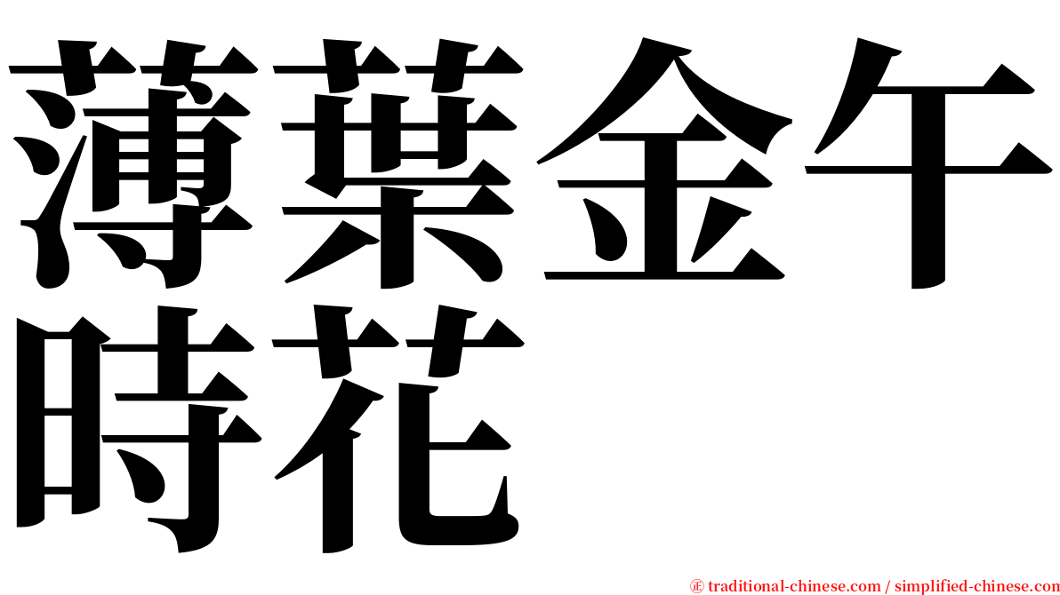薄葉金午時花 serif font