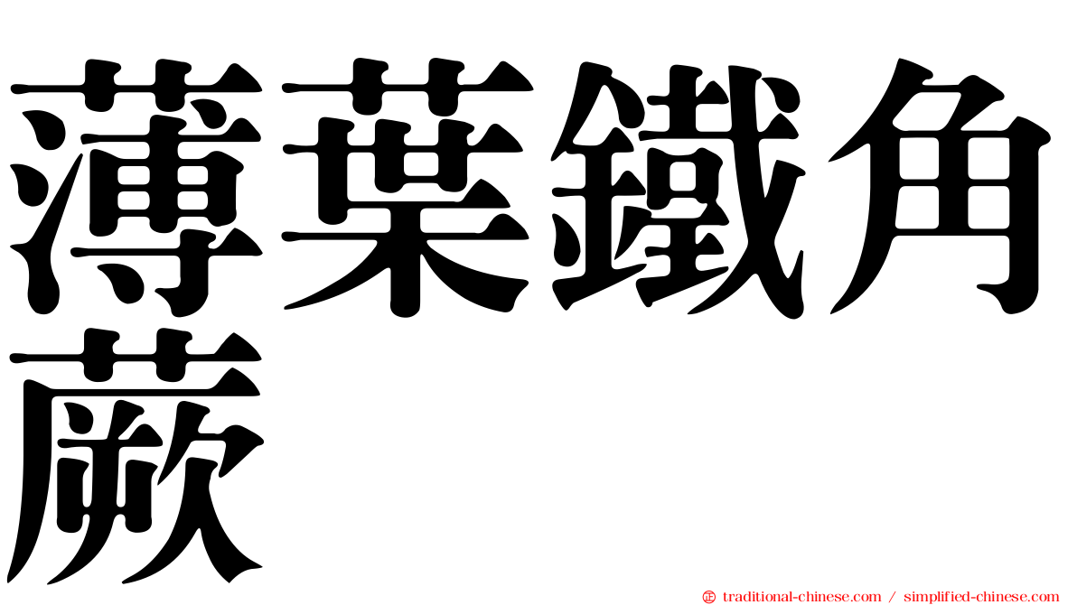 薄葉鐵角蕨