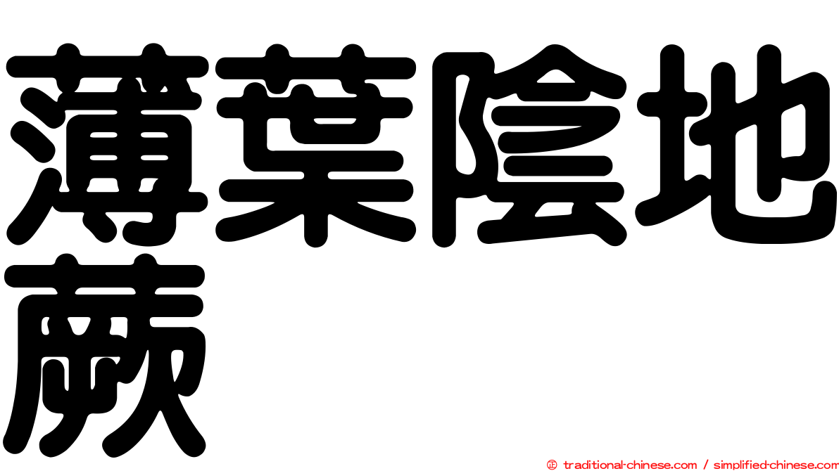 薄葉陰地蕨