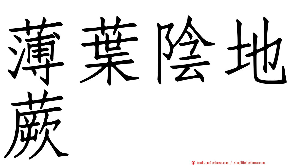 薄葉陰地蕨