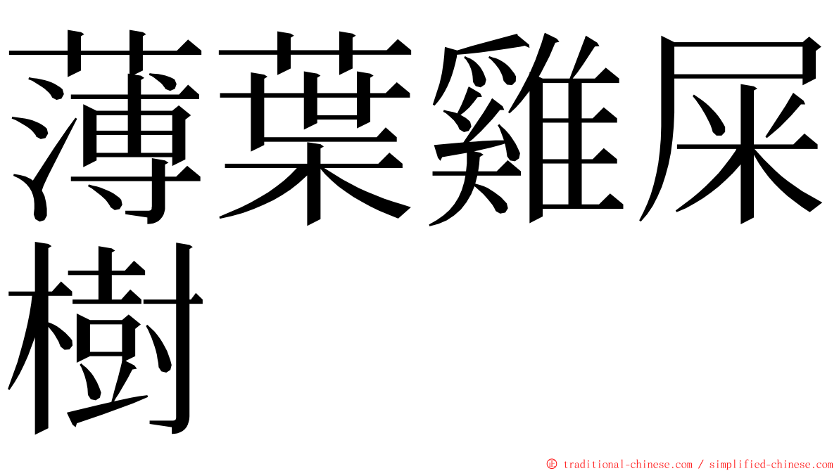薄葉雞屎樹 ming font