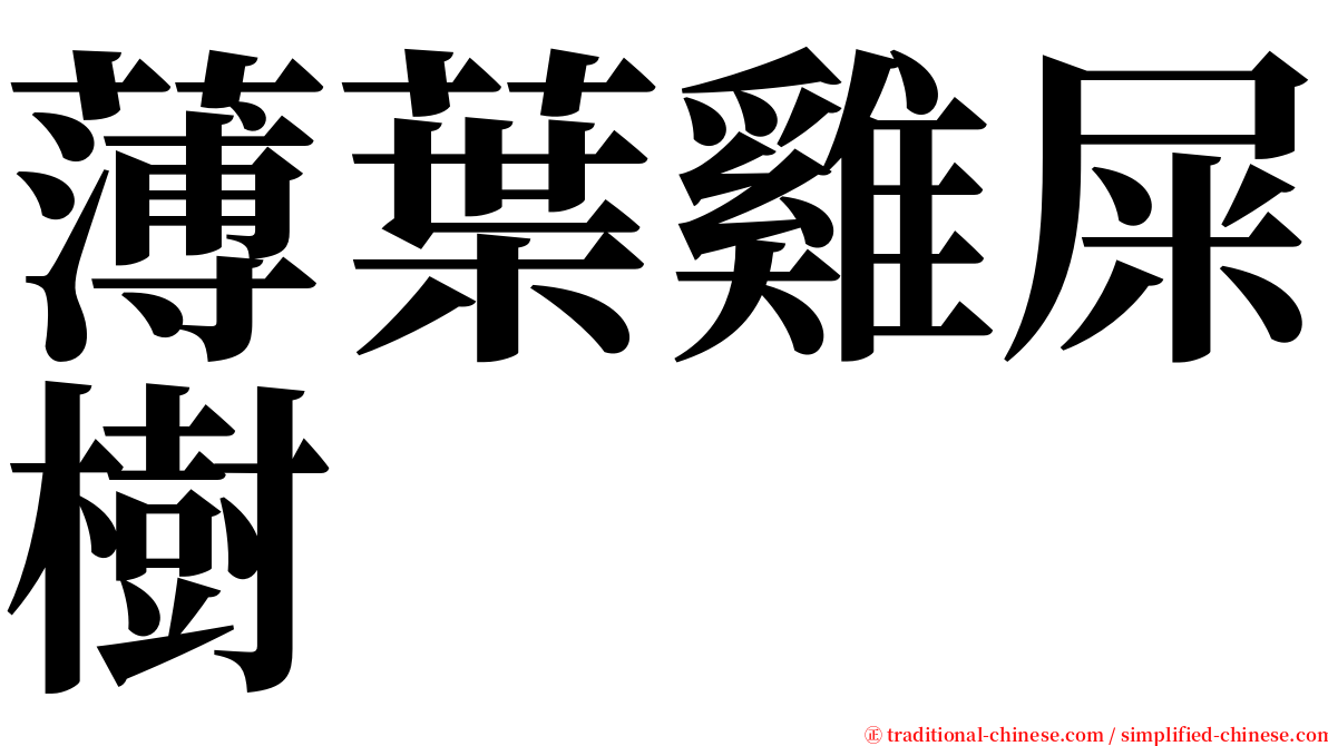 薄葉雞屎樹 serif font