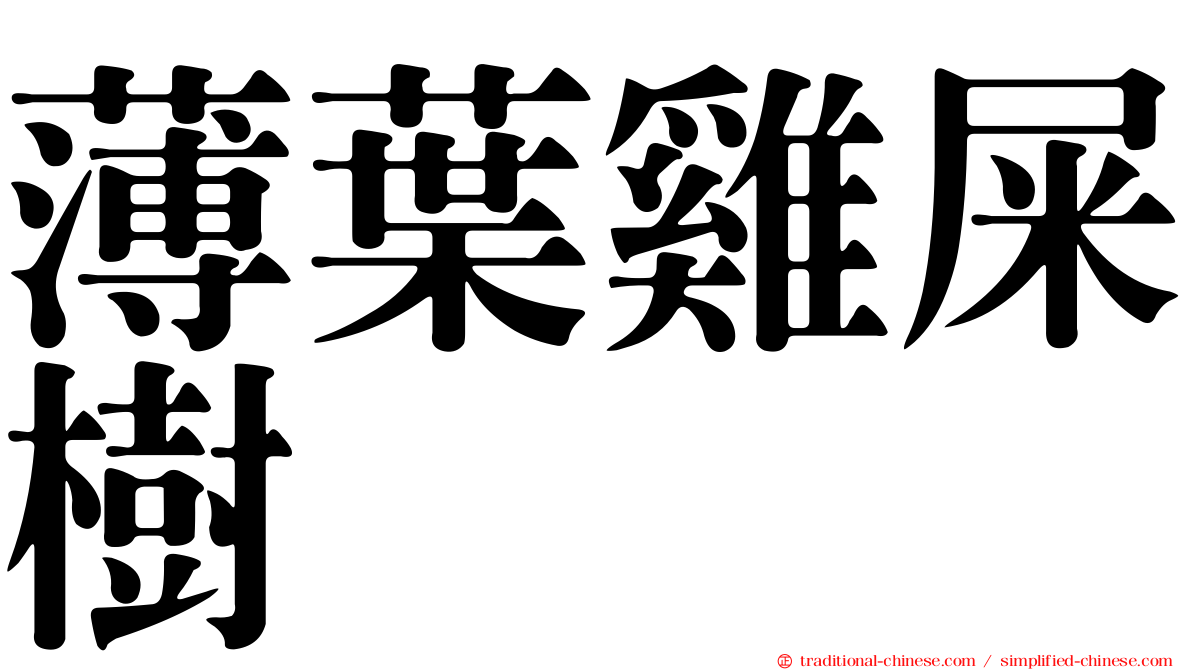 薄葉雞屎樹