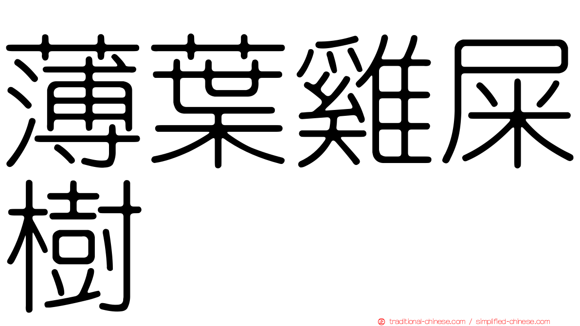 薄葉雞屎樹