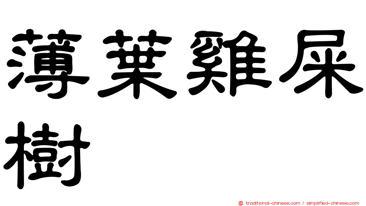 薄葉雞屎樹