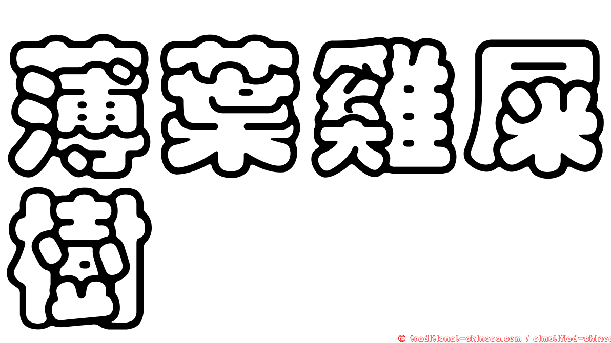 薄葉雞屎樹