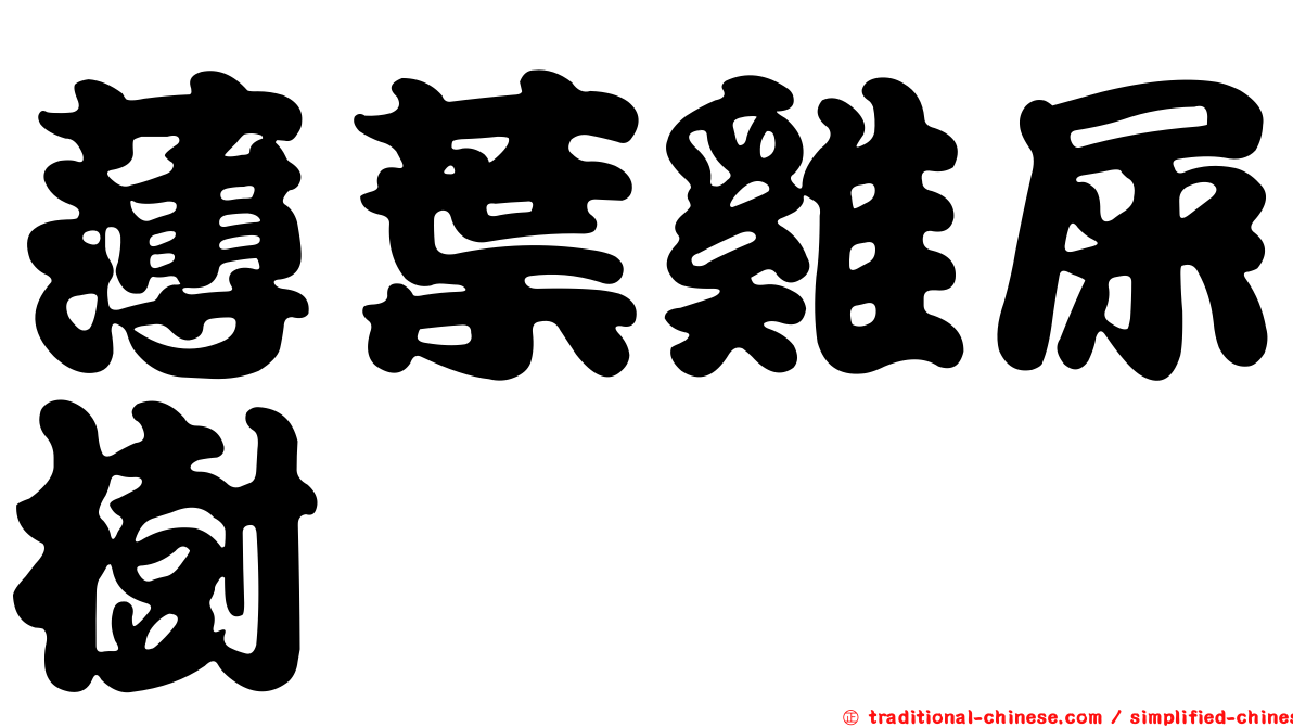 薄葉雞屎樹