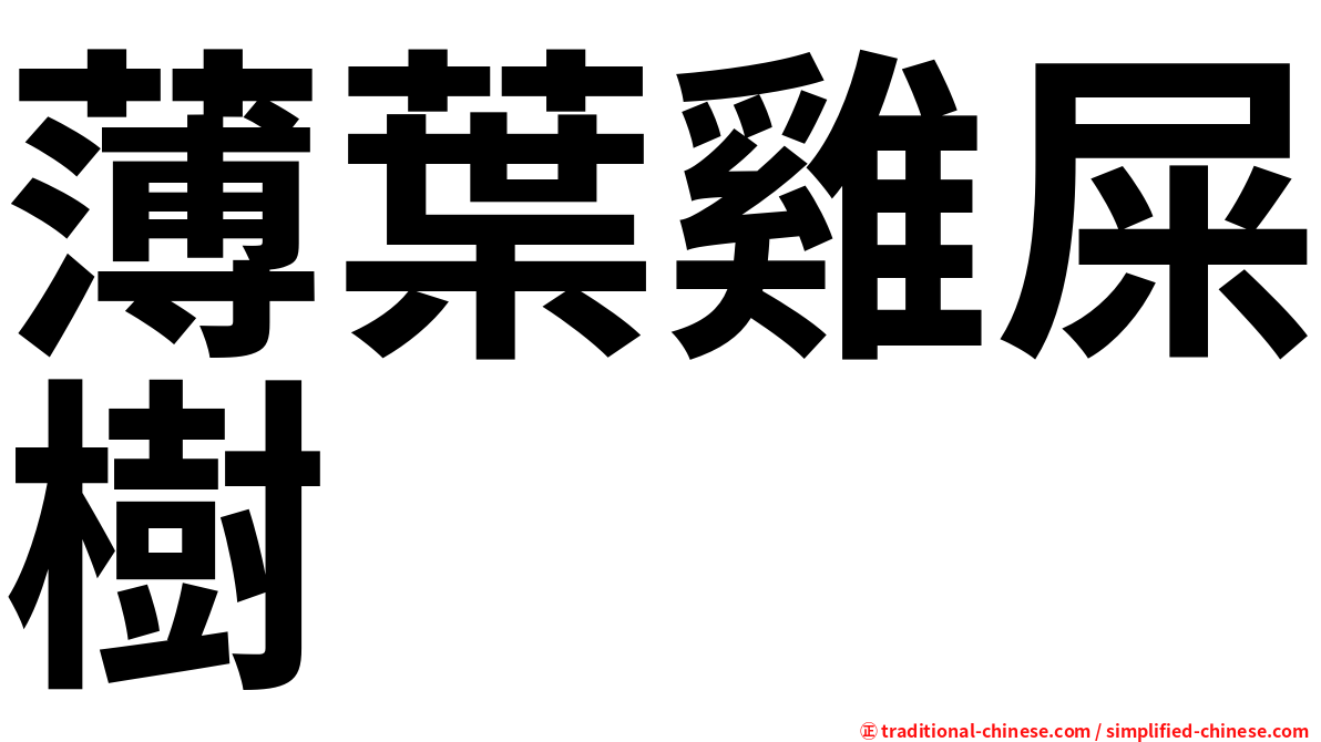 薄葉雞屎樹