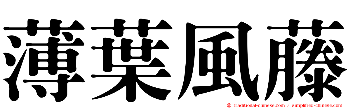 薄葉風藤