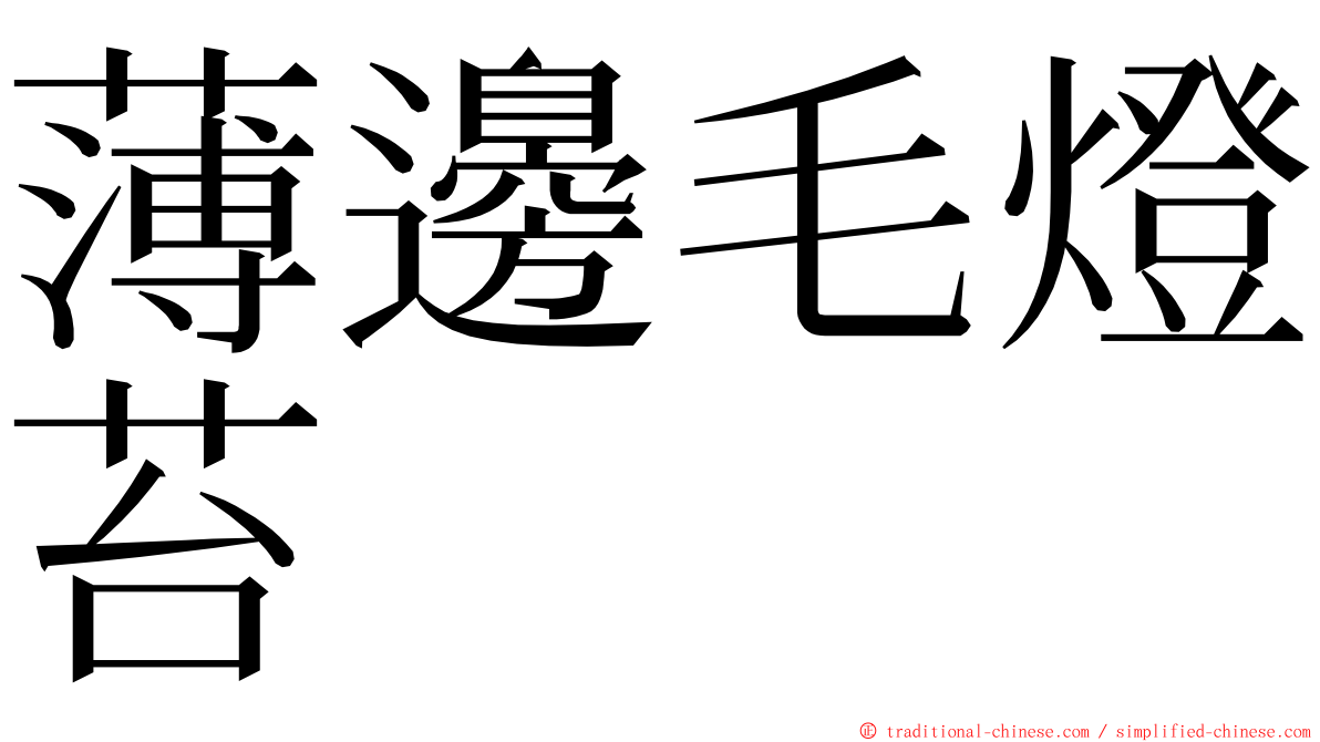 薄邊毛燈苔 ming font