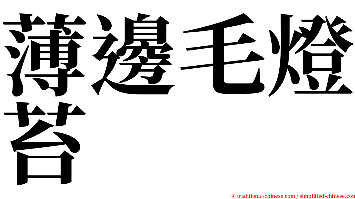 薄邊毛燈苔 serif font