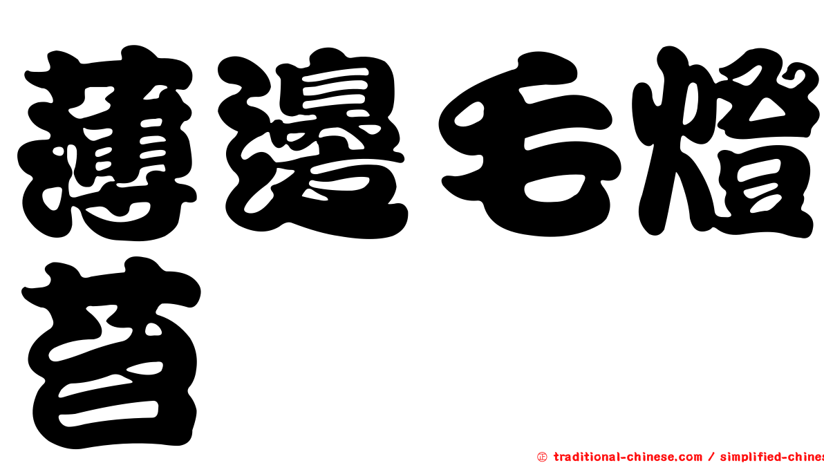 薄邊毛燈苔