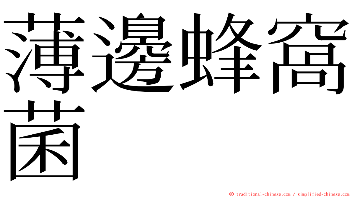 薄邊蜂窩菌 ming font