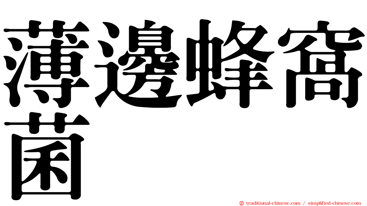 薄邊蜂窩菌