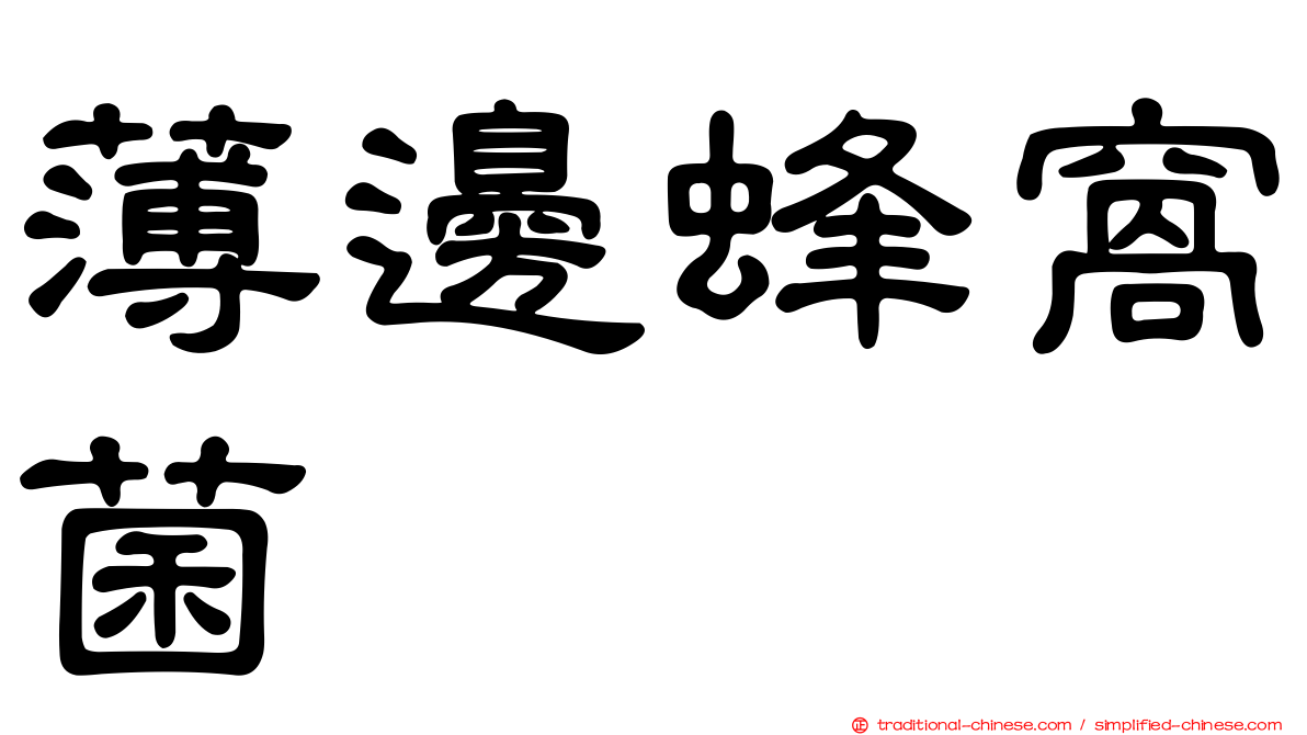 薄邊蜂窩菌