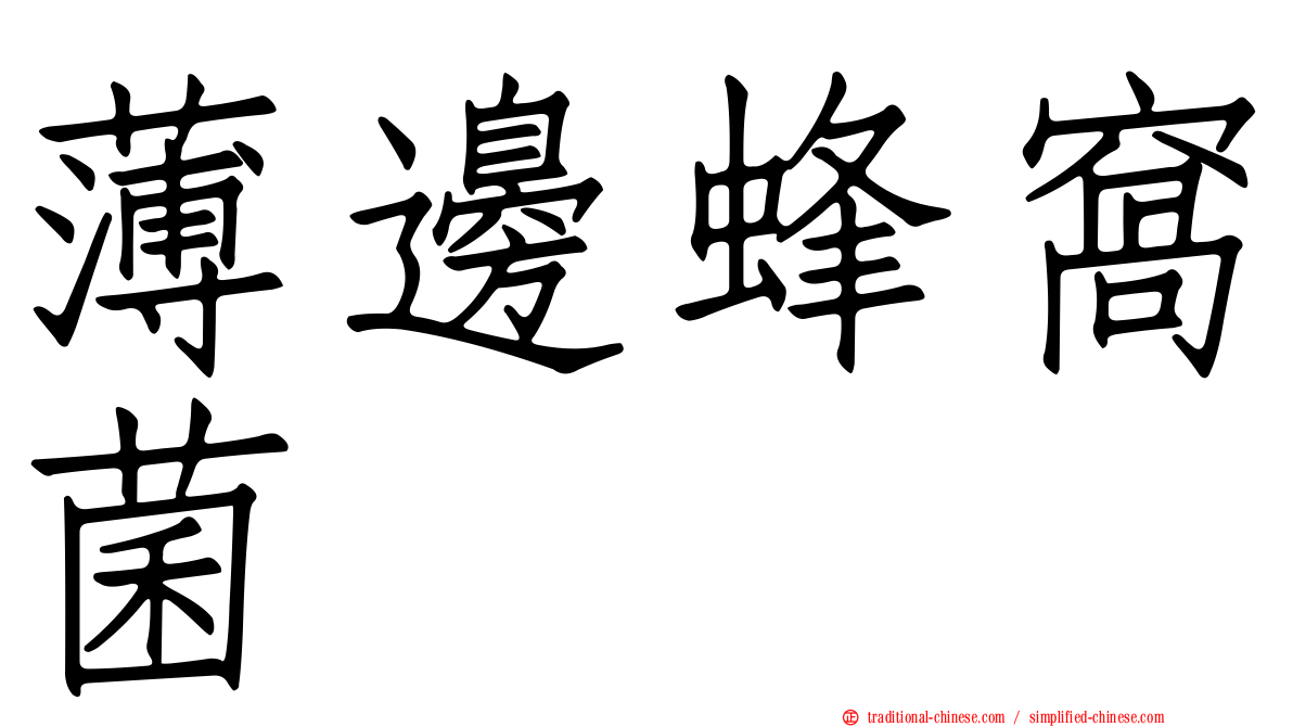 薄邊蜂窩菌