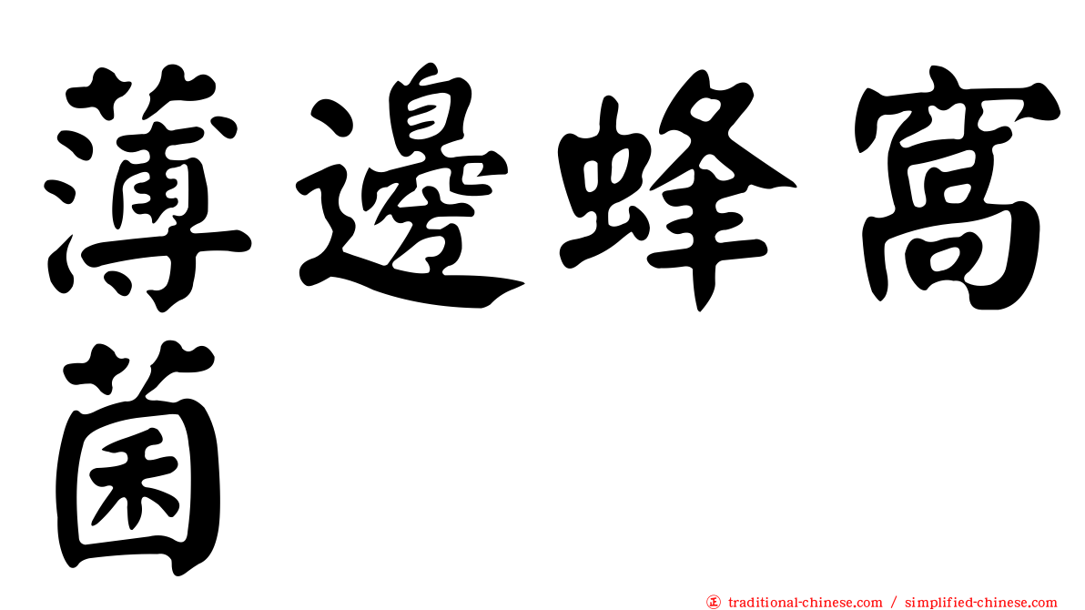 薄邊蜂窩菌