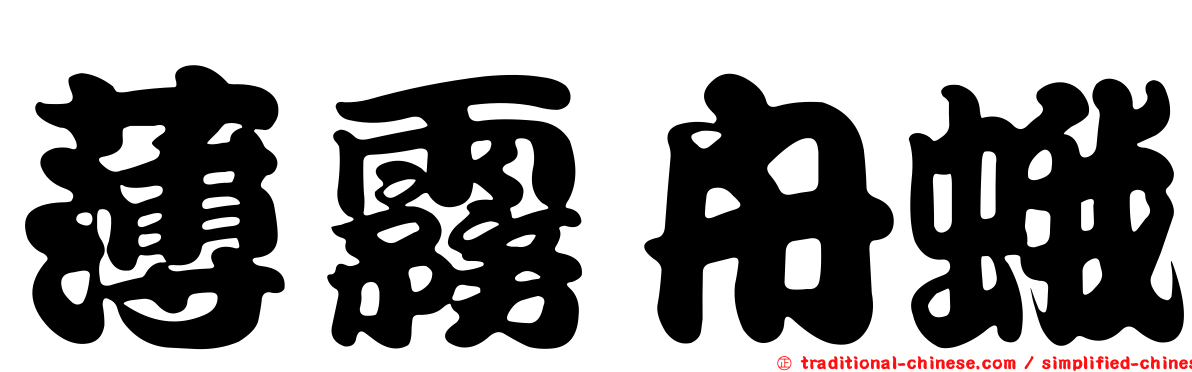 薄霧舟蛾