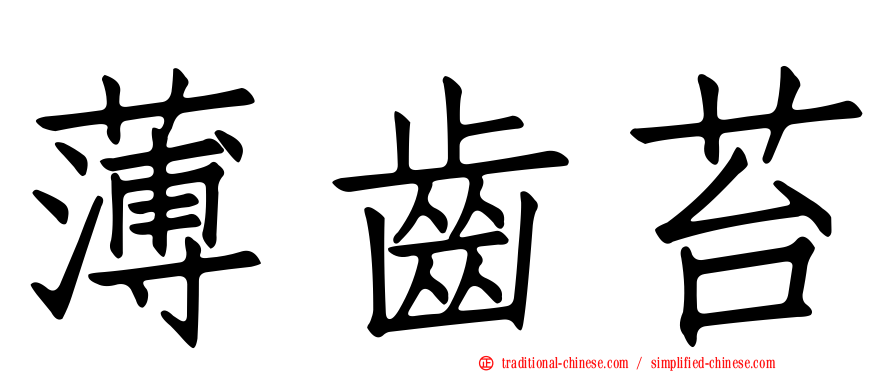薄齒苔