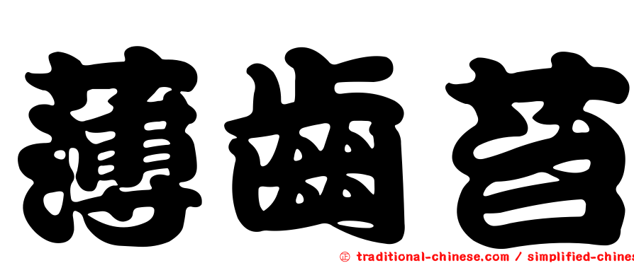 薄齒苔